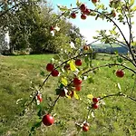Holiday home Ferienhaus Plessberg *