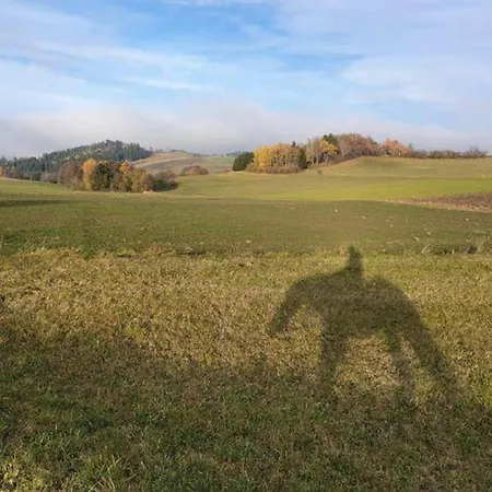 Ferienhaus Plessberg