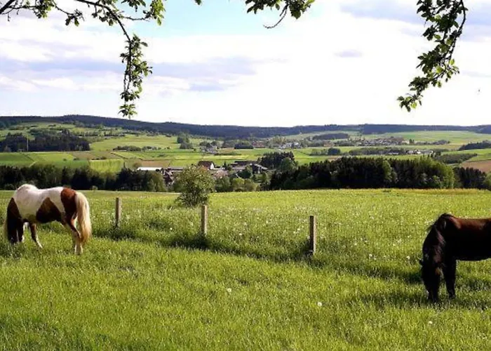 Ferienhaus Plessberg