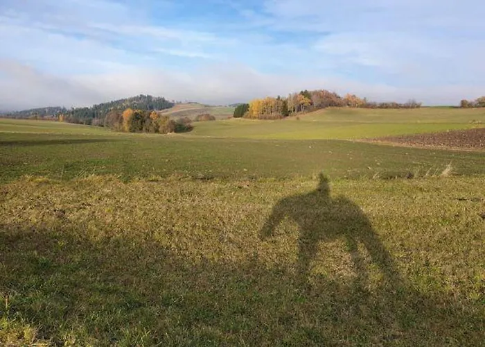 Ferienhaus Plessberg