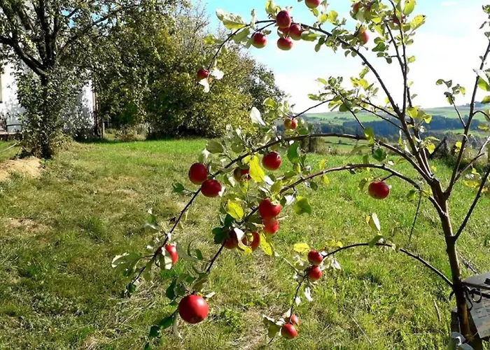 Holiday home Ferienhaus Plessberg *